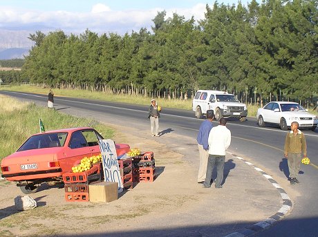 Roadside fruit stall, Cape Winelands