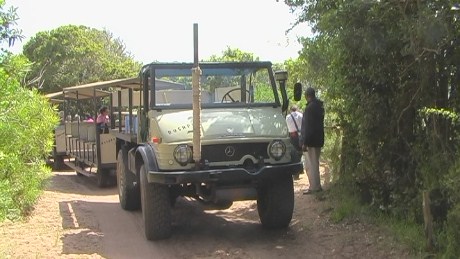 Unimog at Featherbed, Knysna Heads