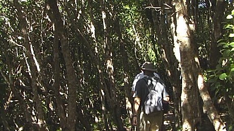 Walking at Knysna Heads
