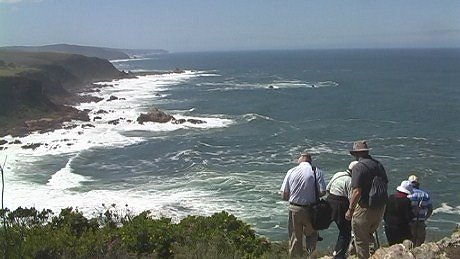 Heads walk, Knysna