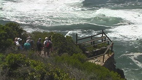 Heads walk, Knysna