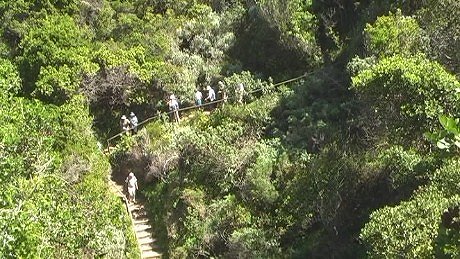 Heads walk, Knysna