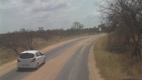 Tarred road Kruger National Park/Teerpad Kruger Wildtuin
