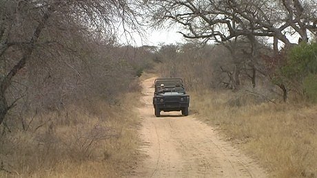 Mala Mala safety vehicle - escorted walk