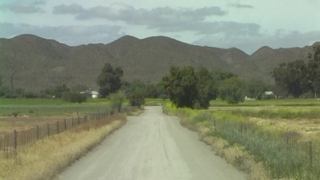 Ostrich Farm, near Oudtshoorn