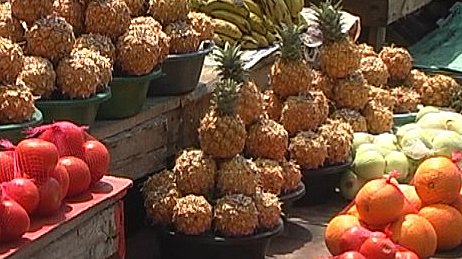 Fruit and Vegetable Market, St Lucia South Africa