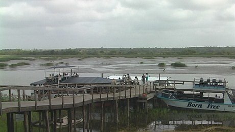 St Lucia Estuary