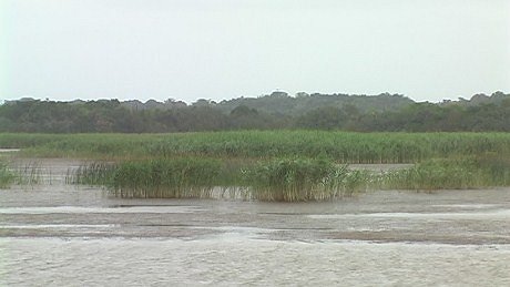 St Lucia Estuary