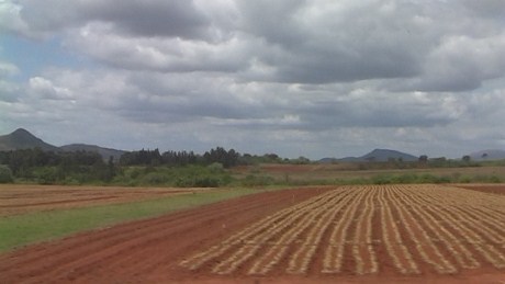 Swaziland countryside