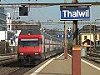 SBB Thalwil