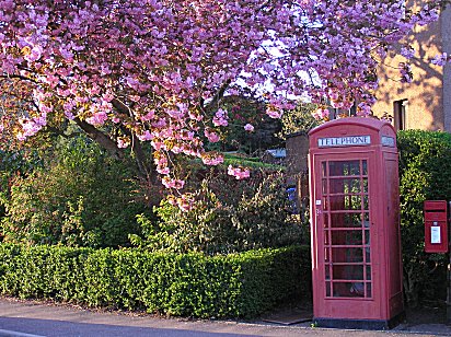 telephone kiosk Monifieth