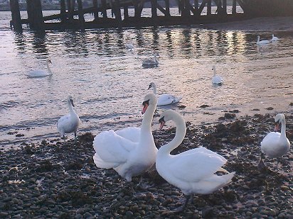 Broughty Harbour, Dundee