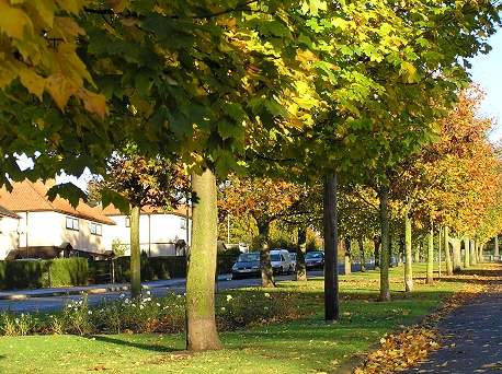 Dundee Lunan Terrace