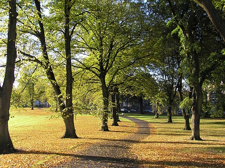 Dundee Baxter Park