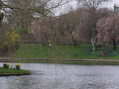 Dundee Swannie Ponds