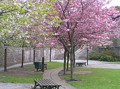 Dundee Dens Works