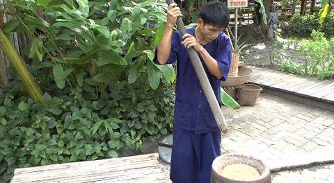 Demonstration oc rice production - Sampan Cultural Centre