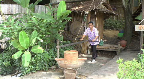 Demonstration oc rice production - Sampan Cultural Centre