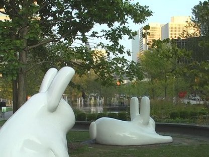 Rabbits and Pinocchio, St Louis MO