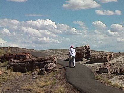 Petrified Forest, Arizona - Route 66