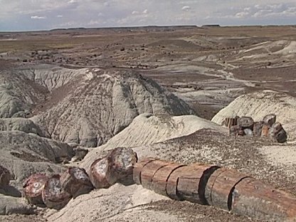 Petrified Forest, Arizona