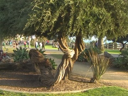 Santa Monica waterfront