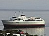 Coho Victoria to Port Angeles
