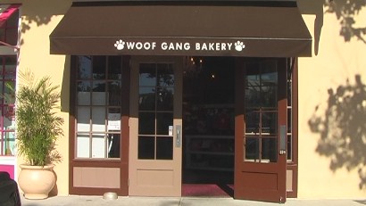 Woof Gang Bakery, Celebration, Florida