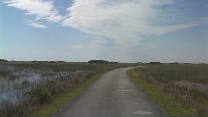 Shark Valley Slough, Everglades