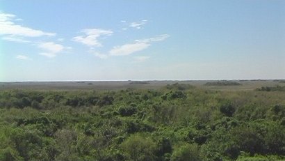 Observation Tower, Shark Valley Slough, Everglades