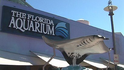 Tampa Aquarium