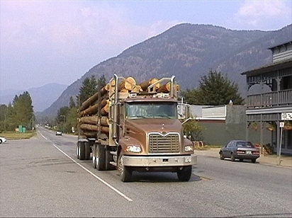 Salmo logging truck