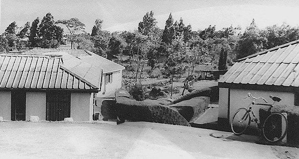 Lower Junior, Duke of York School Nairobi