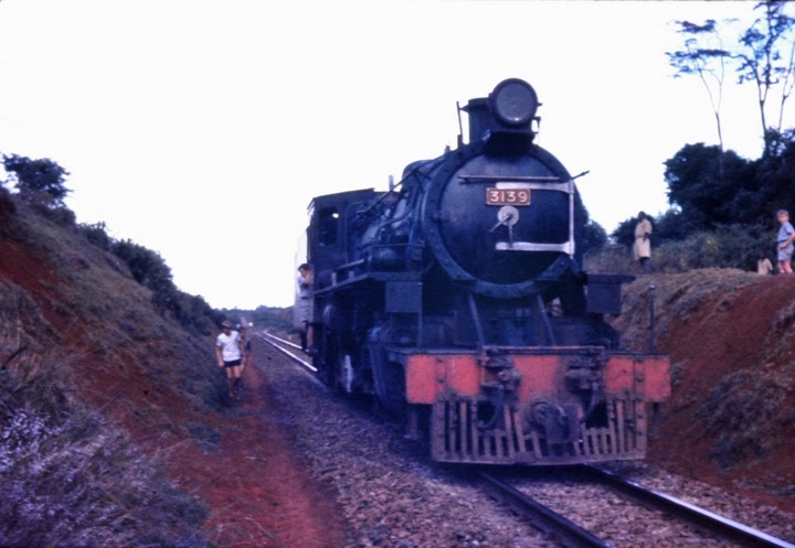 EAR&H 31 Class 3139 Pokomo