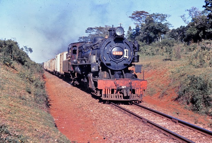 East African Railways 29 Class 2902 Bukusu