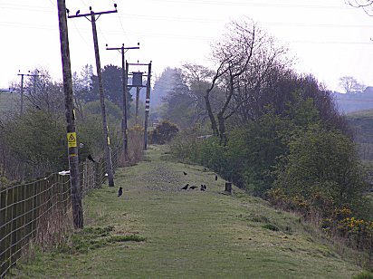 Dundee and Forfar Railway