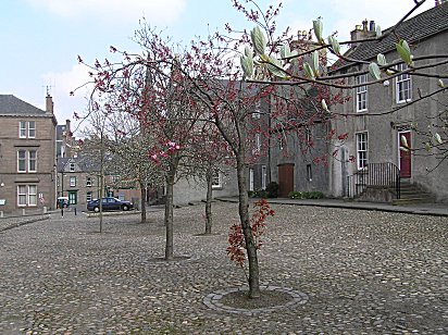 Forfar Little Causeway