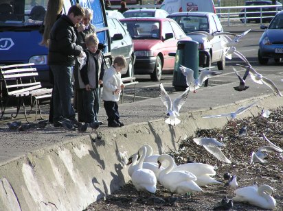 Broughty Harbour