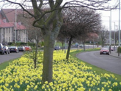 Dundee Craigie Avenue