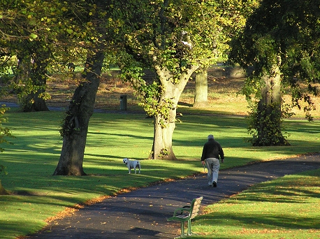 Dundee Baxter Park