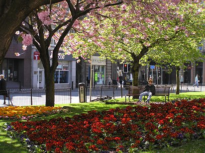 Albert Square gardens