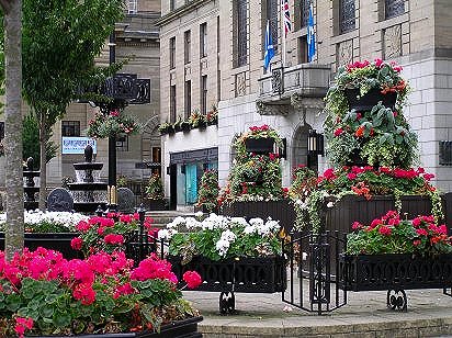 Dundee City Square Flowers