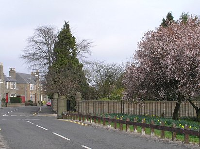 Dundee Stobsmuir Ponds