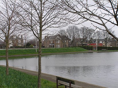 Swannie Ponds Dundee