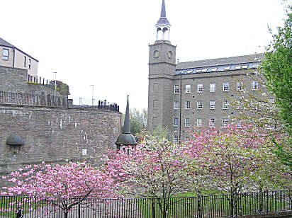 Baxter Brothers Upper Dens Dundee