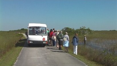Tram, Shark Valley Slough